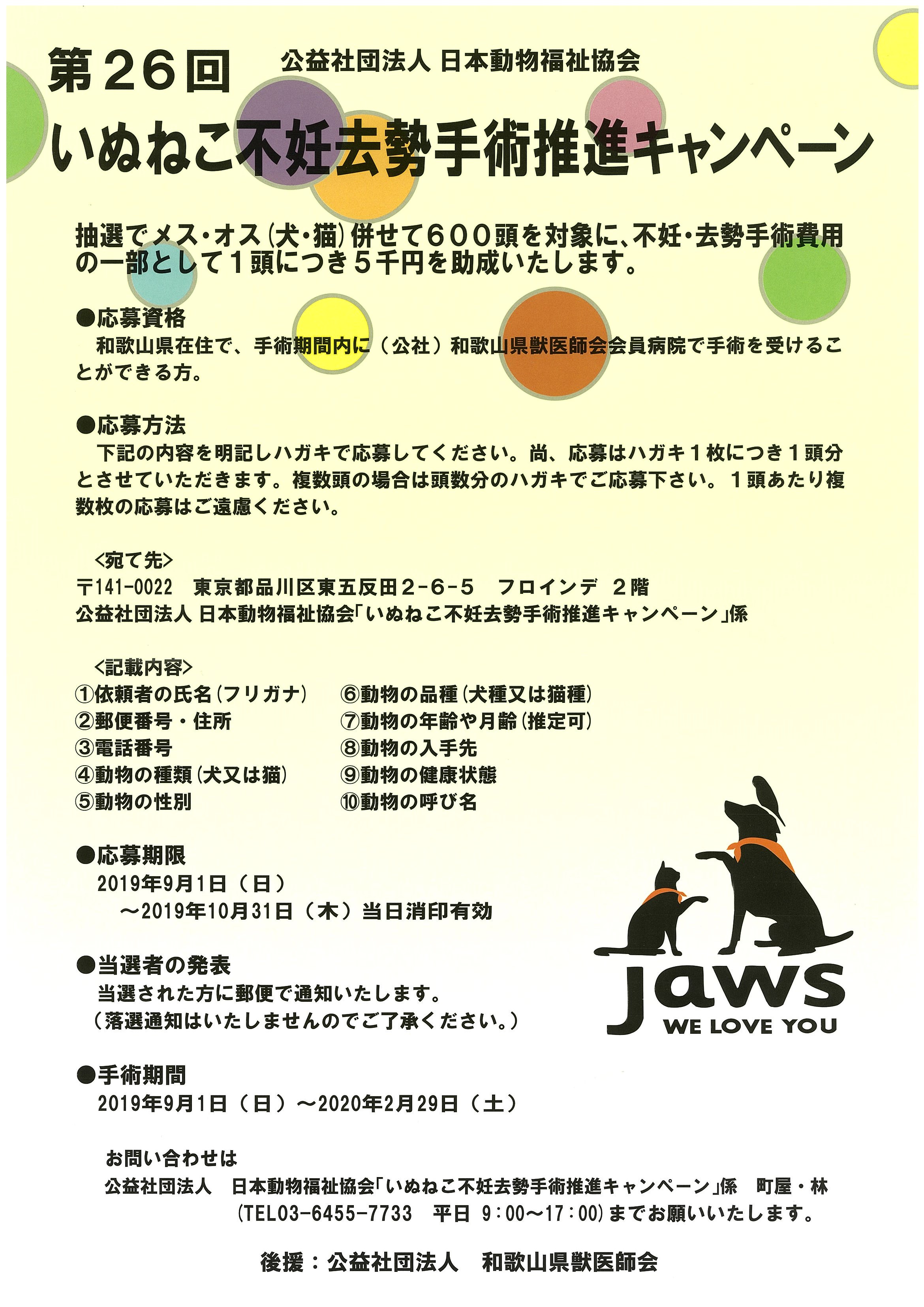 いぬねこ不妊去勢推進手術キャンペーンのお知らせです 和歌山のペット いきもの 情報ポータルサイト Pippi ぴっぴ いぬねこ不妊去勢推進手術キャンペーンのお知らせです 和歌山のペット いきもの 情報ポータルサイト Pippi ぴっぴ